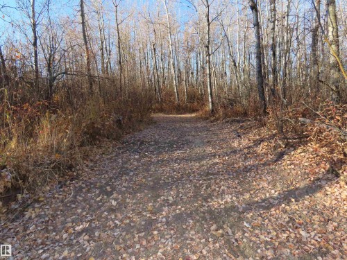 54425 Ste Anne Trail, Rural Lac Ste. Anne County, AB 