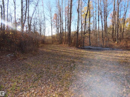 54425 Ste Anne Trail, Rural Lac Ste. Anne County, AB 