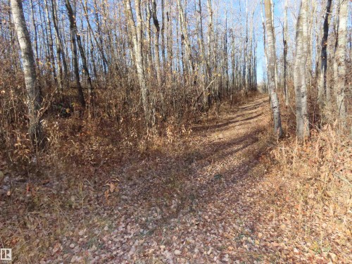 54425 Ste Anne Trail, Rural Lac Ste. Anne County, AB 