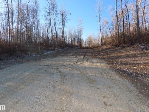 54425 Ste Anne Trail, Rural Lac Ste. Anne County, AB 