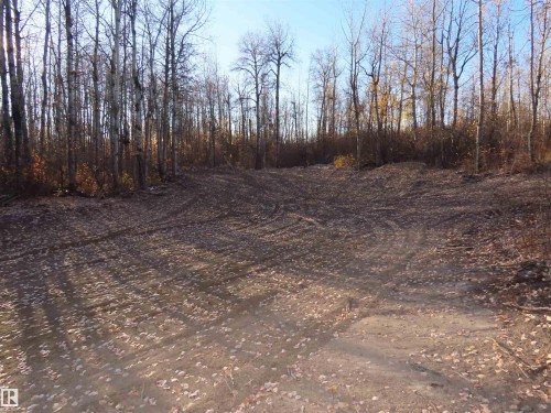 54425 Ste Anne Trail, Rural Lac Ste. Anne County, AB 