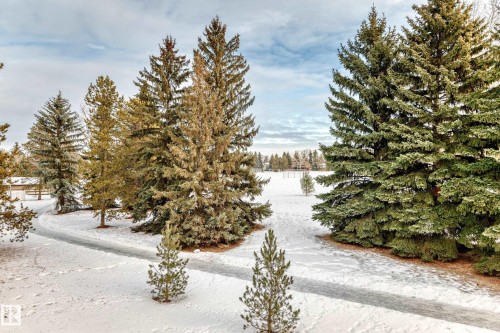 6010 Mill Woods Road S, Edmonton, AB - Outdoor With View