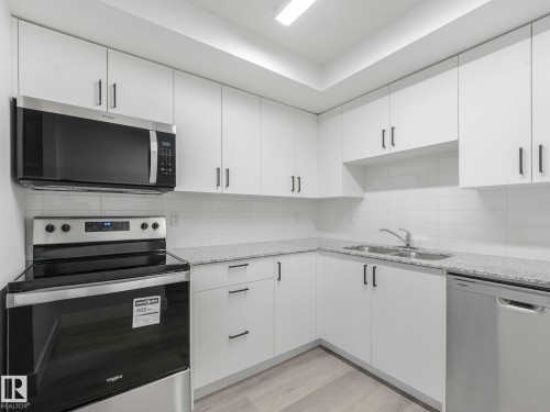 109 9504 182 Street, Edmonton, AB - Indoor Photo Showing Kitchen With Double Sink
