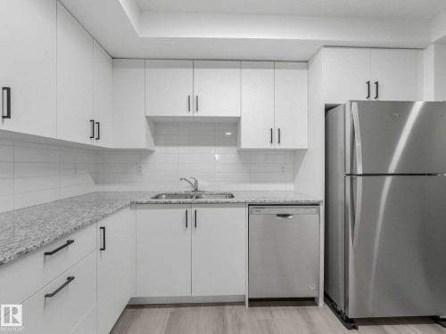 109 9504 182 Street, Edmonton, AB - Indoor Photo Showing Kitchen With Double Sink