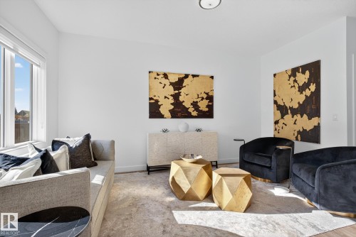 22015 85 Ave, Edmonton, AB - Indoor Photo Showing Living Room