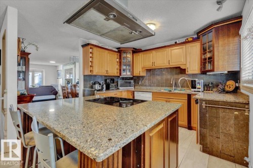 3736 48 Street, Edmonton, AB - Indoor Photo Showing Kitchen With Double Sink