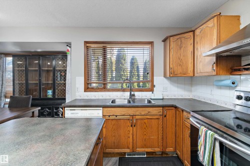 15903 62 Street, Edmonton, AB - Indoor Photo Showing Kitchen With Double Sink