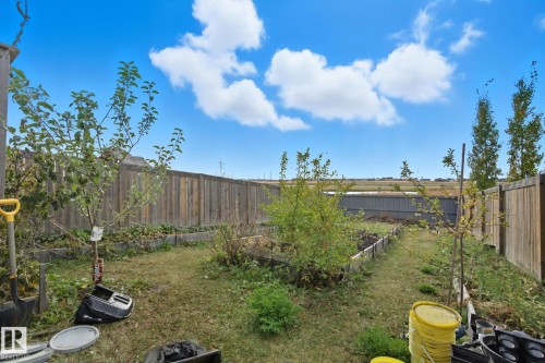 3217 11 Avenue, Edmonton, AB - Outdoor