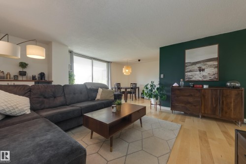 504 9909 110 Street, Edmonton, AB - Indoor Photo Showing Living Room