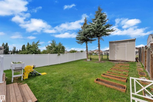 3436 28 Street, Edmonton, AB - Outdoor With Backyard