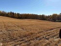 53114 Rge Rd 22 (L3; B1), Rural Parkland County, AB 