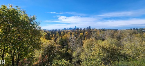 10870 75 Street Nw, Edmonton, AB - Outdoor With View