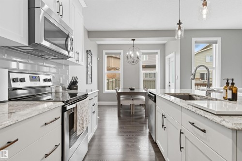 8534 Cushing Place, Edmonton, AB - Indoor Photo Showing Kitchen With Double Sink With Upgraded Kitchen