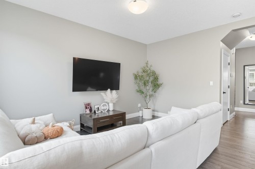 8534 Cushing Place, Edmonton, AB - Indoor Photo Showing Living Room