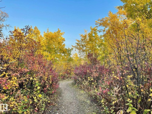 872 Hollands Landing, Edmonton, AB - Outdoor