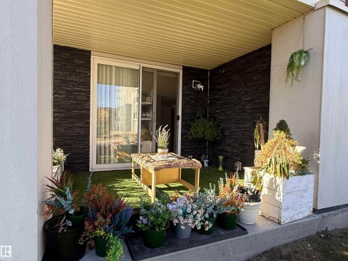 117 18122 77 St Nw, Edmonton, AB - Outdoor