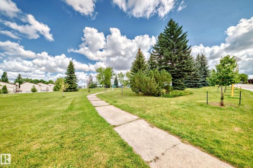 1141 60 Street, Edmonton, AB - Outdoor With View
