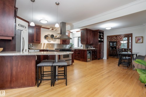10015 97 Avenue, Edmonton, AB - Indoor Photo Showing Kitchen With Upgraded Kitchen