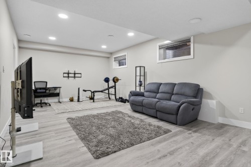 527 Albany Way, Edmonton, AB - Indoor Photo Showing Basement