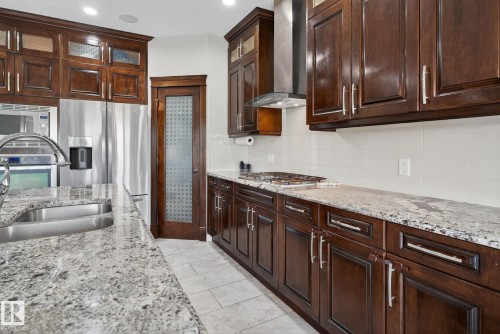 527 Albany Way, Edmonton, AB - Indoor Photo Showing Kitchen With Double Sink With Upgraded Kitchen