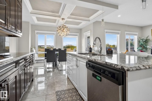 527 Albany Way, Edmonton, AB - Indoor Photo Showing Kitchen With Upgraded Kitchen