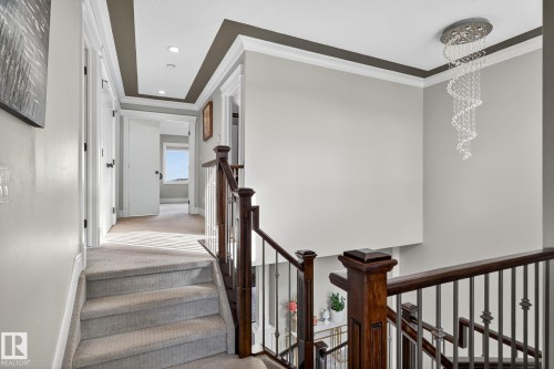 527 Albany Way, Edmonton, AB - Indoor Photo Showing Other Room