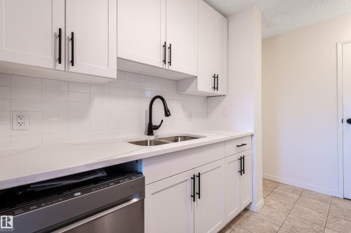 13341 47 Street, Edmonton, AB - Indoor Photo Showing Kitchen With Double Sink