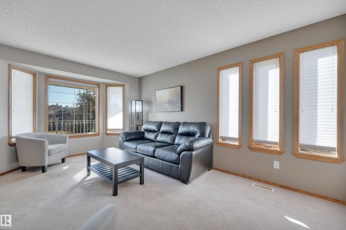 113 Pipestone Drive, Millet, AB - Indoor Photo Showing Living Room