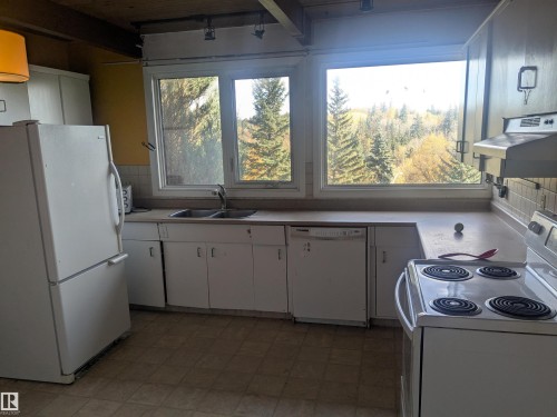 8311 96 Street, Edmonton, AB - Indoor Photo Showing Kitchen With Double Sink