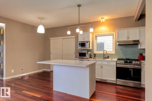 9923 88 Street, Edmonton, AB - Indoor Photo Showing Kitchen With Double Sink