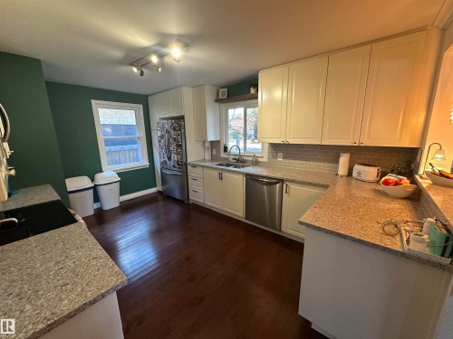 10447 81 Street, Edmonton, AB - Indoor Photo Showing Kitchen With Double Sink