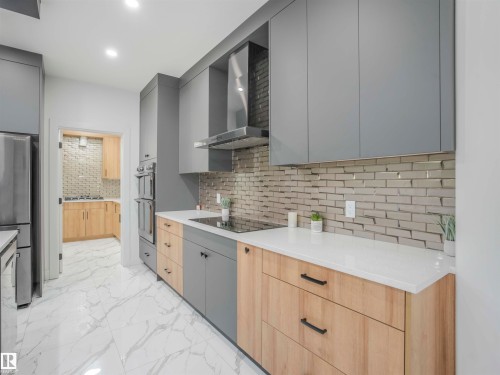 1305 Adamson Drive, Edmonton, AB - Indoor Photo Showing Kitchen With Upgraded Kitchen