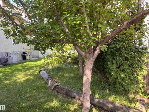 11910 76 St, Edmonton, AB 