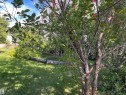 11910 76 St, Edmonton, AB 