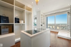 Spacious closet featuring dark wood-type flooring - 