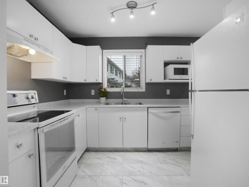 1608 Mill Woods Road E, Edmonton, AB - Indoor Photo Showing Kitchen With Double Sink