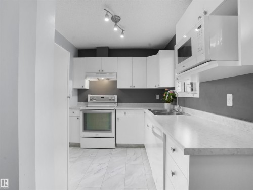 1608 Mill Woods Road E, Edmonton, AB - Indoor Photo Showing Kitchen With Double Sink