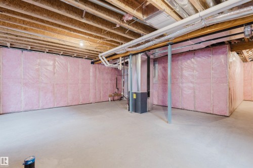 2031 209 Street, Edmonton, AB - Indoor Photo Showing Basement