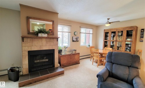 206 10826 113 Street, Edmonton, AB - Indoor Photo Showing Living Room With Fireplace