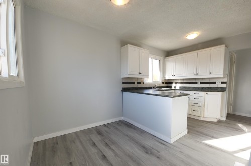 3014 132 Avenue, Edmonton, AB - Indoor Photo Showing Kitchen With Double Sink