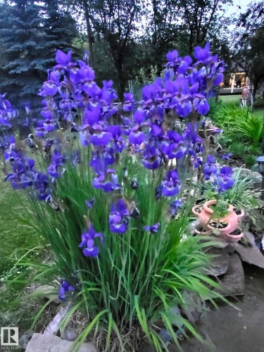 4911 46 St, Evansburg, AB - Outdoor