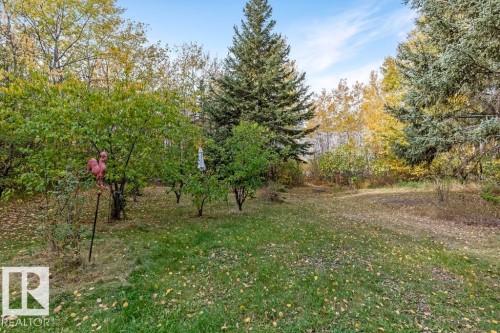 View of green lawn - 218 58532 Range Road 113, Rural St. Paul County, AB - Outdoor