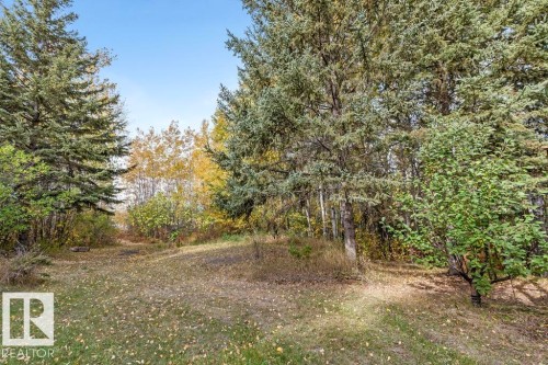 View of wooded area - 218 58532 Range Road 113, Rural St. Paul County, AB - Outdoor