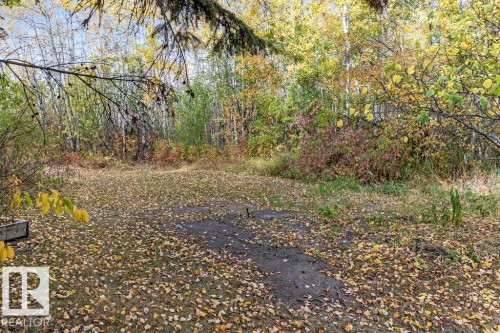 View of yard - 218 58532 Range Road 113, Rural St. Paul County, AB - Outdoor