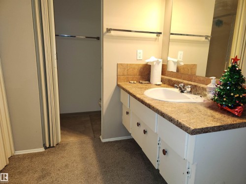 224 5125 Riverbend Road, Edmonton, AB - Indoor Photo Showing Bathroom