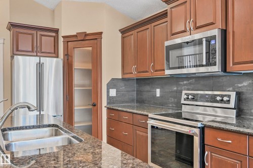 1213 Adamson Drive, Edmonton, AB - Indoor Photo Showing Kitchen With Double Sink With Upgraded Kitchen