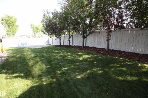 1213 Adamson Drive, Edmonton, AB - Outdoor