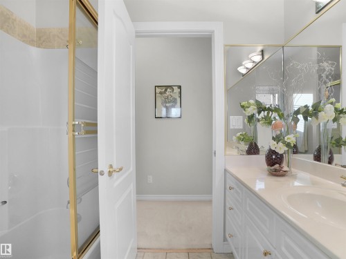 255 Wilson Lane, Edmonton, AB - Indoor Photo Showing Bathroom