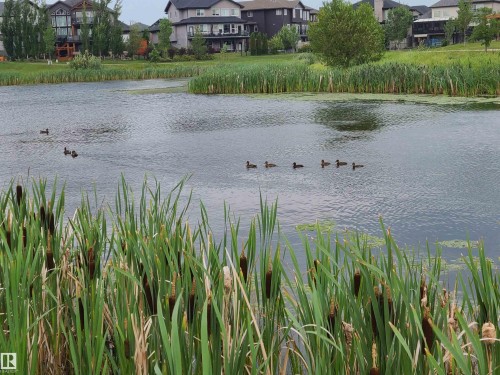 24 104 Allard Link, Edmonton, AB - Outdoor With Body Of Water With View