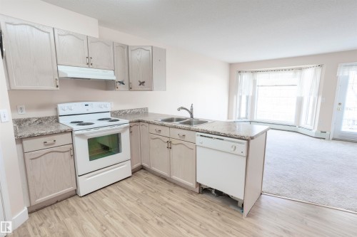 262 13441 127 Street, Edmonton, AB - Indoor Photo Showing Kitchen With Double Sink